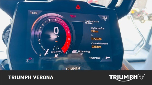 TRIUMPH Tiger 900 Alpine Edition